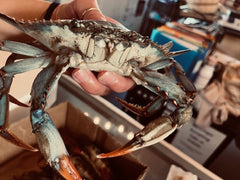 Jumbo Soft Crabs