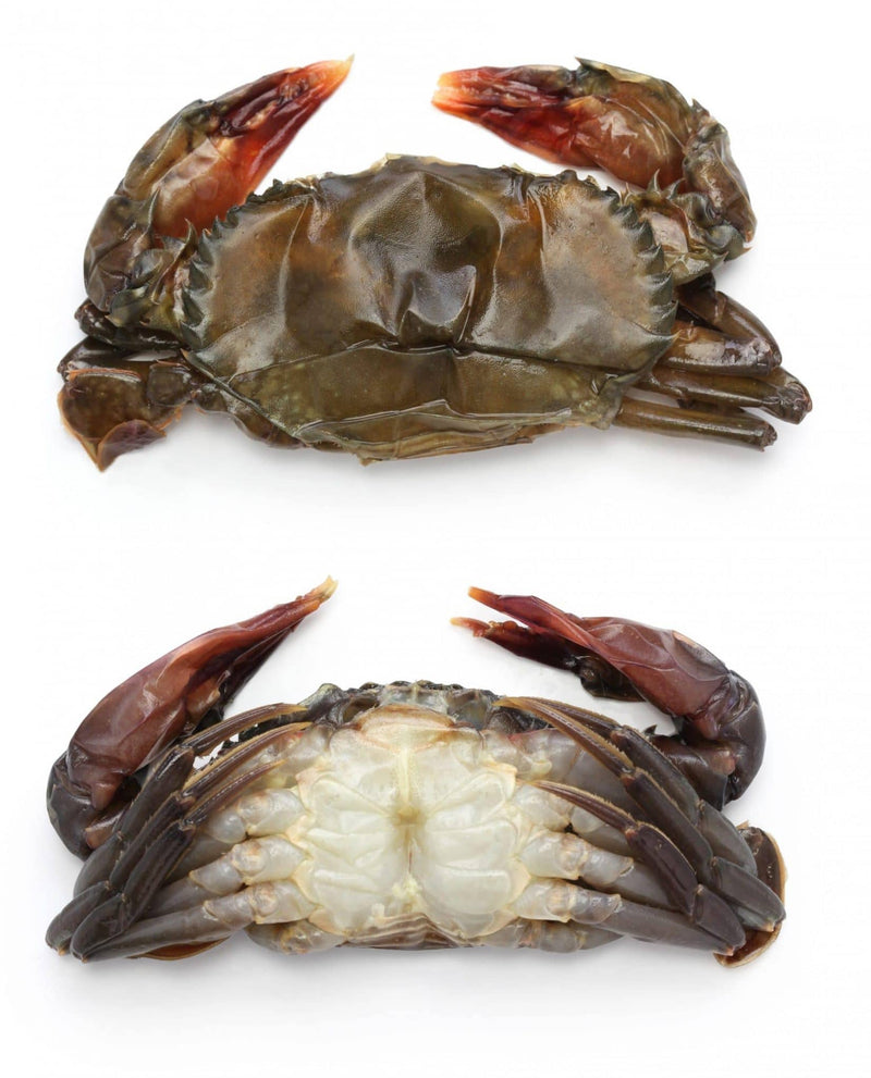 Jumbo Soft Crabs