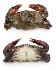 Jumbo Soft Crabs